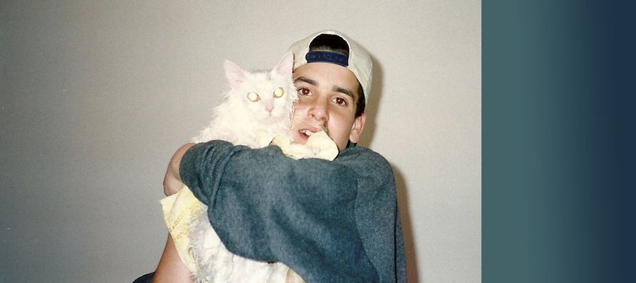 dan_slider_cat.jpg
